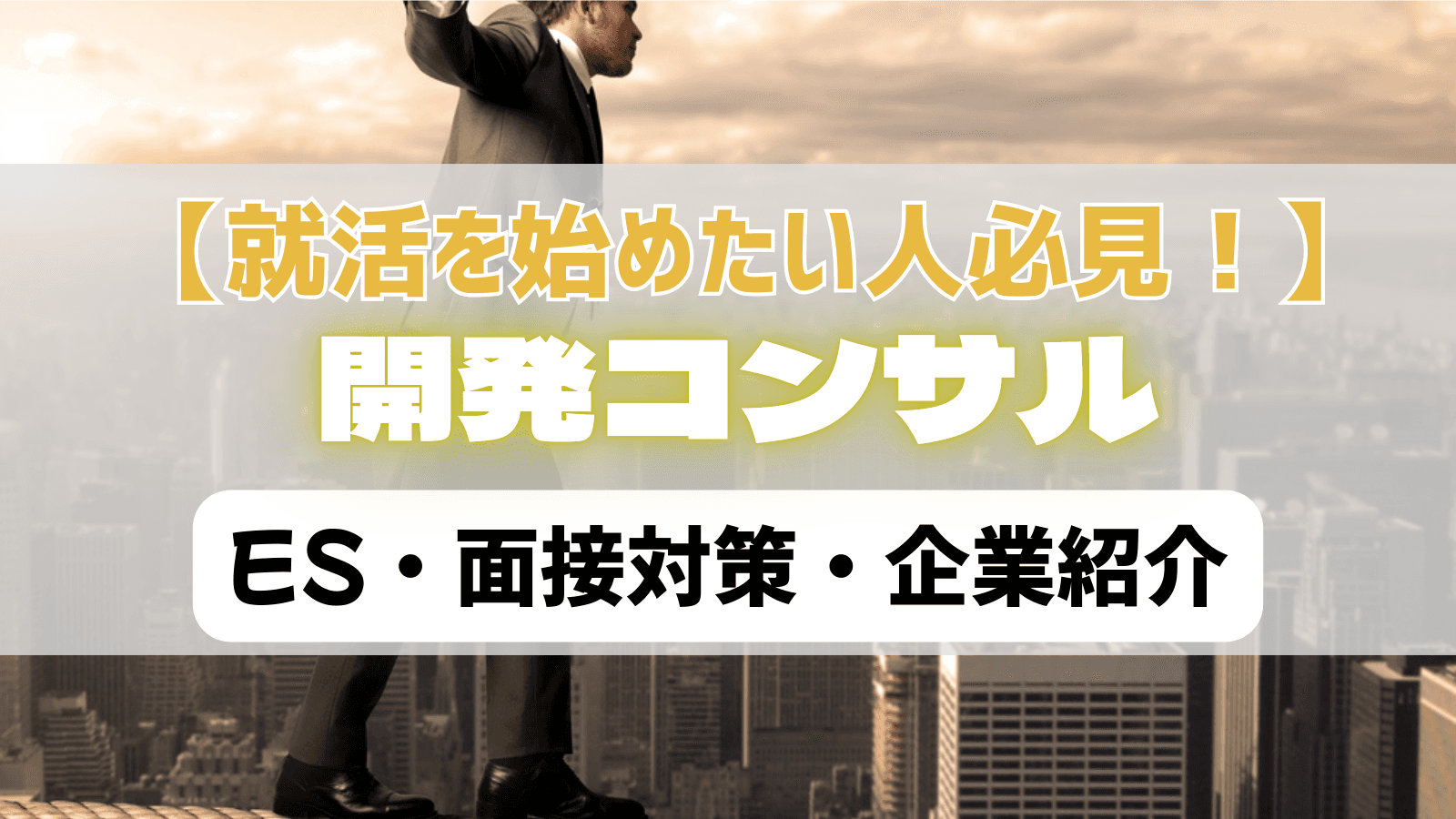 【開発コンサル編】国際協力の経験を武器にしたES・面接対策・企業紹介