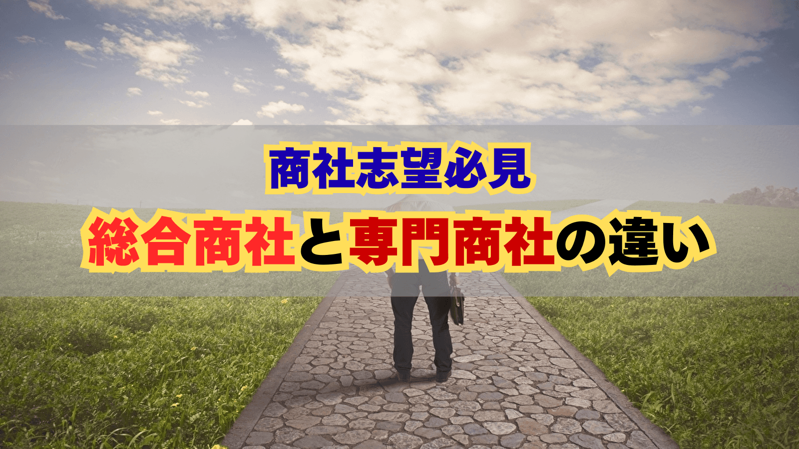 商社志望必見｜総合商社と専門商社の違いを徹底解説