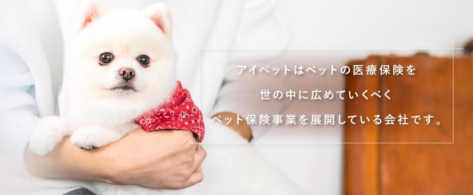 アイペット損害保険のヘッダー