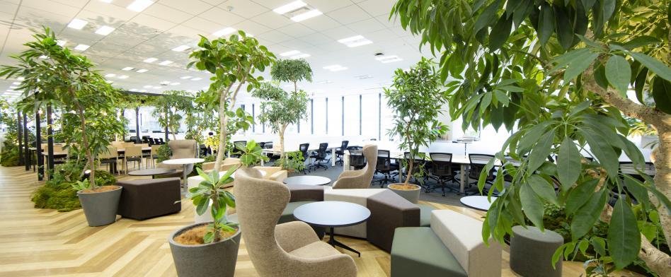 レイスシステムソリューションズ(エンジニア)のヘッダー